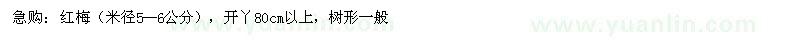 求购红梅（米径5--6公分），开丫80cm以上，树形一般