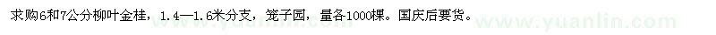 求购6和7公分柳叶金桂
