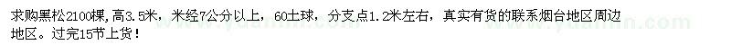 求购黑松米经7公分以上