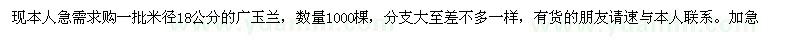 求购18公分广玉兰