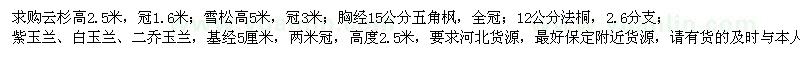 求购云杉、雪松、五角枫、法桐、紫玉兰、白玉兰