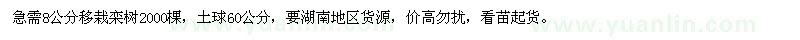 求购8公分移栽栾树2000棵