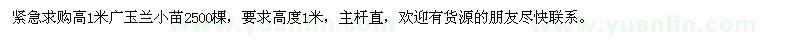 求购高1米广玉兰小苗2500棵