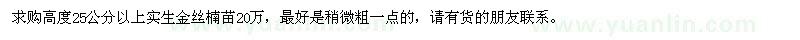 求购高度25公分以上实生金丝楠苗20万