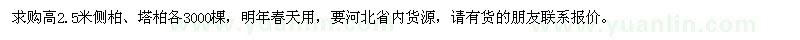 求购高2.5米侧柏、塔柏