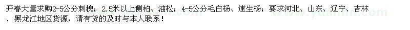 求购刺槐、侧柏、油松、毛白杨、速生杨