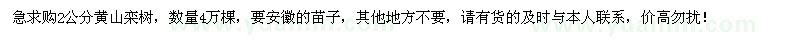 求购2公分黄山栾树4万棵