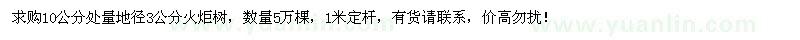 求购10公分处量地径3公分火炬树5万棵