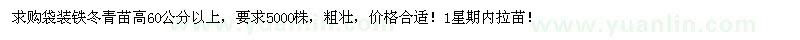 求购袋装铁冬青苗高60公分以上