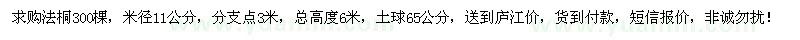 求购米径11公分法桐300棵