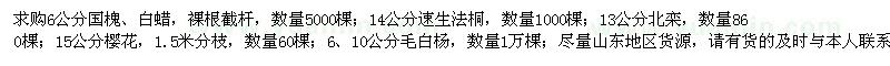 求购国槐、白蜡、速生法桐、北栾、樱花、毛白杨