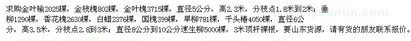 求购金叶榆、金枝槐、金叶槐、垂柳、速生柳、香花槐、白蜡等苗木