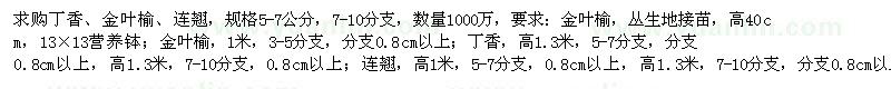 求购丁香、金叶榆、连翘