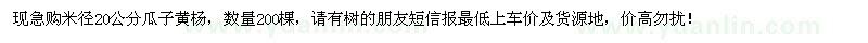 求购米径20公分瓜子黄杨200棵