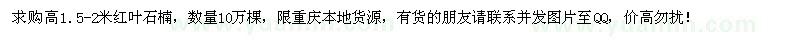 求购高1.5-2米红叶石楠10万棵