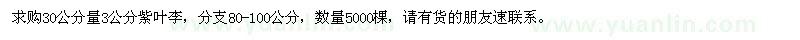 求购30公分量3公分紫叶李5000棵