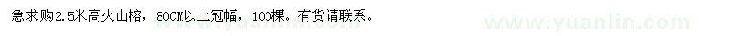 求购2.5米高火山榕 100棵