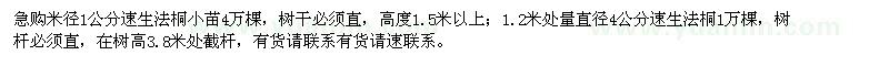 求购速生法桐5万棵