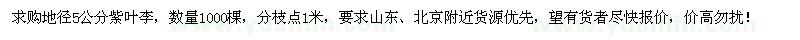 求购地径5公分紫叶李1000棵