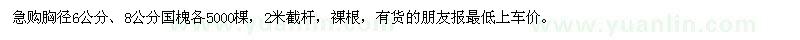 求购胸径6公分、8公分国槐各5000棵