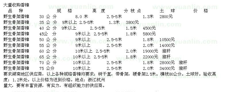 求购野生骨架香樟