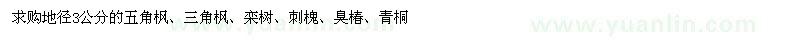 求购五角枫、三角枫、栾树、刺槐、臭椿、青桐