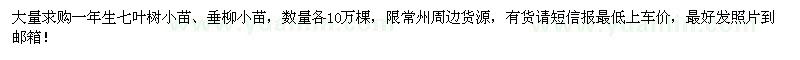 求购七叶树、垂柳小苗各10万棵