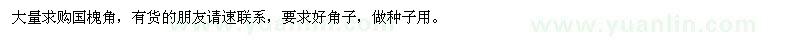 求购国槐角