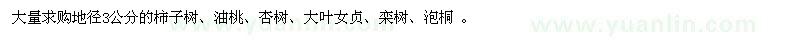 求购油桃、杏树、大叶女贞、栾树、泡桐 