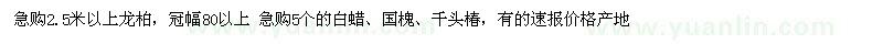 求购龙柏、白蜡、国槐、千头椿 