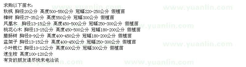 求购秋枫、樟树、盆架子等工程苗木一批