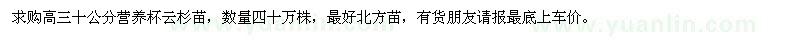 求购高30公分营养杯云杉苗