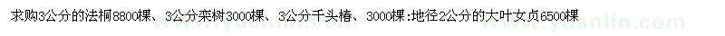 求购法桐、栾树、千头椿