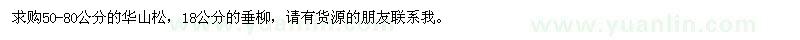 求购50-80公分华山松、18公分垂柳