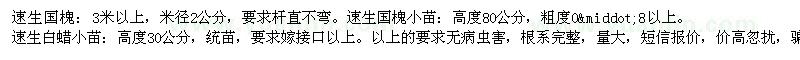 求购速生国槐、速生国槐小苗、速生白蜡小苗