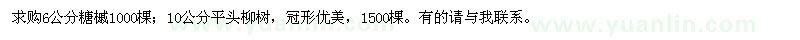 求购6公分糖槭、10公分平头柳树