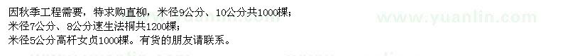 求购直柳、速生法桐、高杆女贞