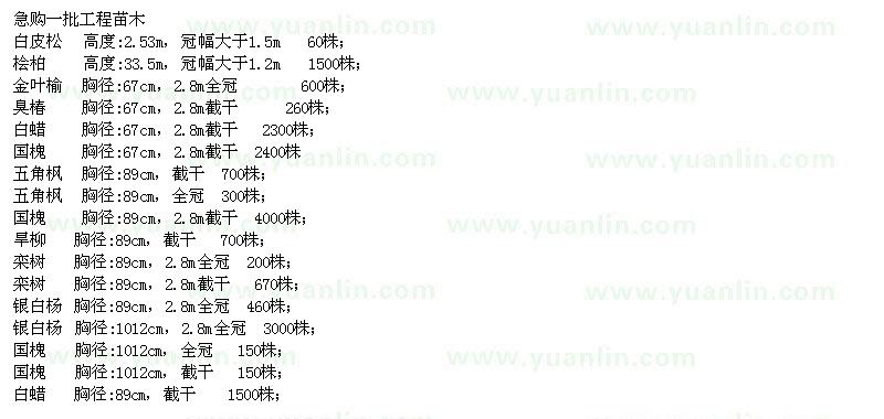 求购白皮松、桧柏、金叶榆