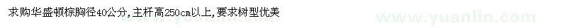 求购胸径40公分华盛顿棕