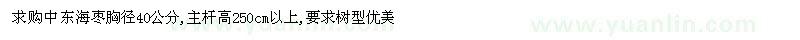 求购胸径40公分中东海枣