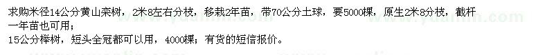 求购米径14公分黄山栾树、15公分榉树