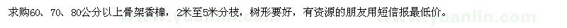 求购60、70、80公分以上骨架香樟