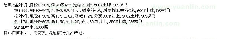 求购金叶槐、黄山栾树、榆叶梅、金叶榆、红叶李