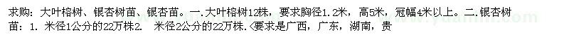 求购大叶榕树、银杏树苗