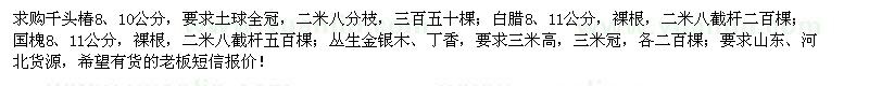 求购千头椿、白蜡、国槐等苗木