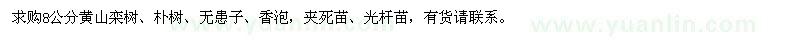 求购8公分黄山栾树、朴树、无患子