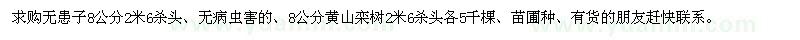 求购8公分无患子、黄山栾树