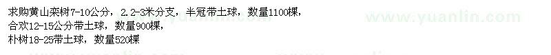 求购黄山栾树、合欢、朴树 