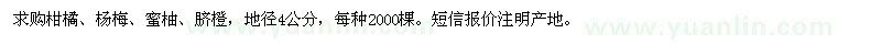 求购地径4公分柑橘、杨梅、蜜柚