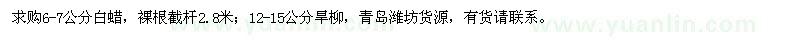 求购6-7公分白蜡、12-15公分旱柳